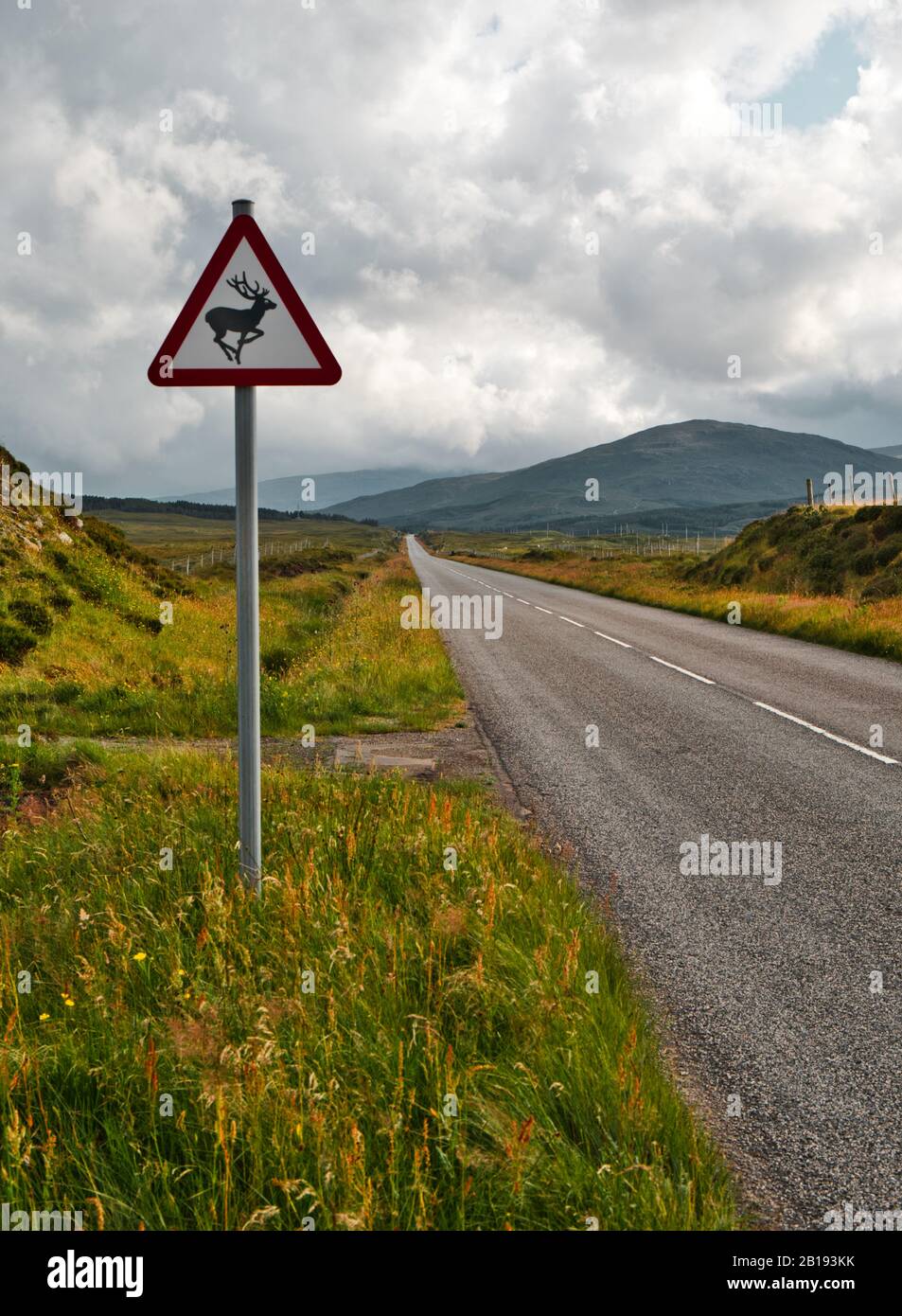 Beware of deer sign next to highway on the Isle of Lewis and Harris, Outer Hebrides, Scotland Stock Photo