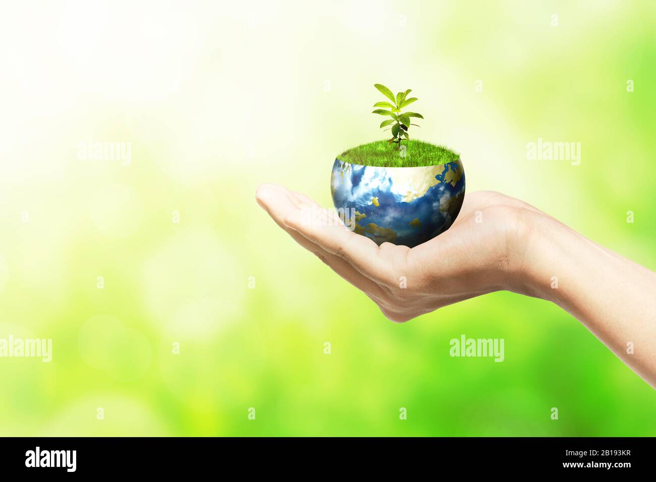 Human hands holding the earth with growing plants above it over a green ...