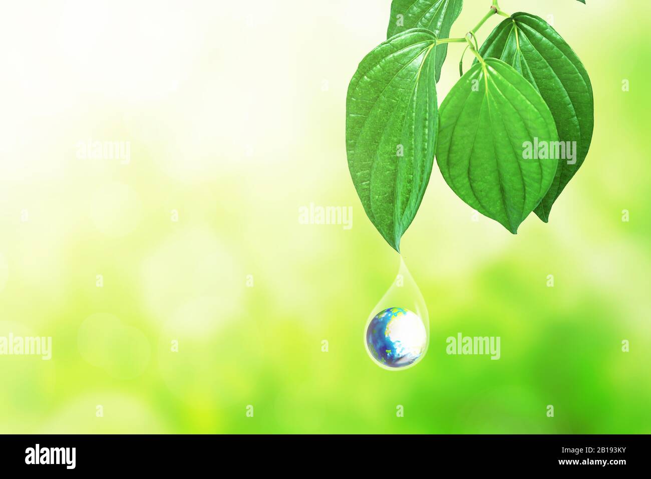 EARTH LEA main image 0