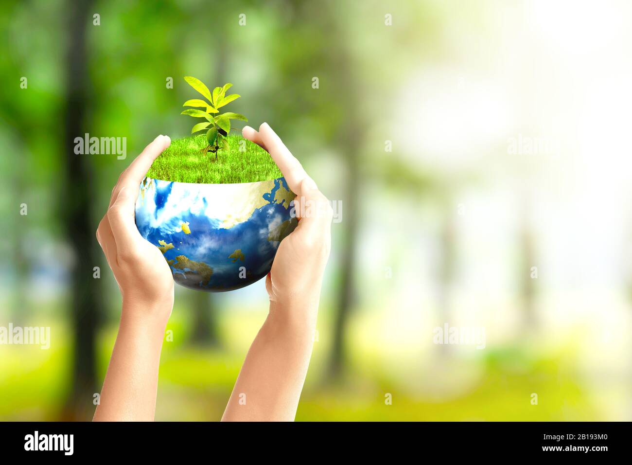 Human hands holding the earth with growing plants above it in the park ...
