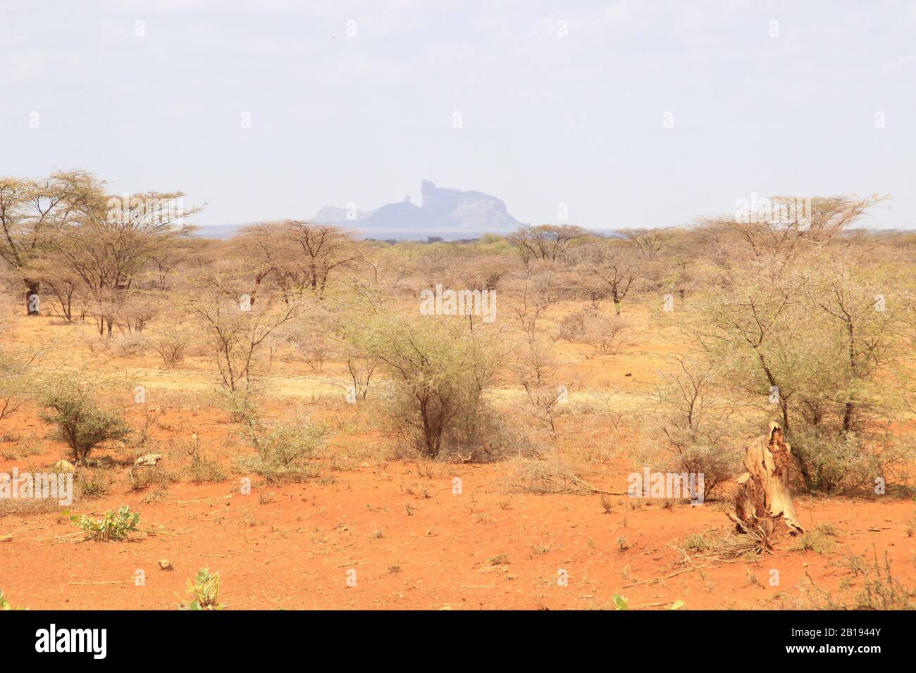 African dry hot savanna with dried plants and mountains in the