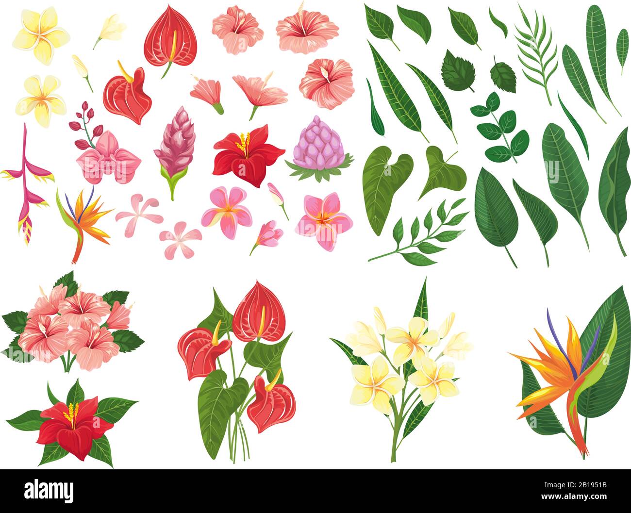 Tropical flower. Tropic forest flowers, exotic tropics plants leaves and flowering branch vector illustration set Stock Vector