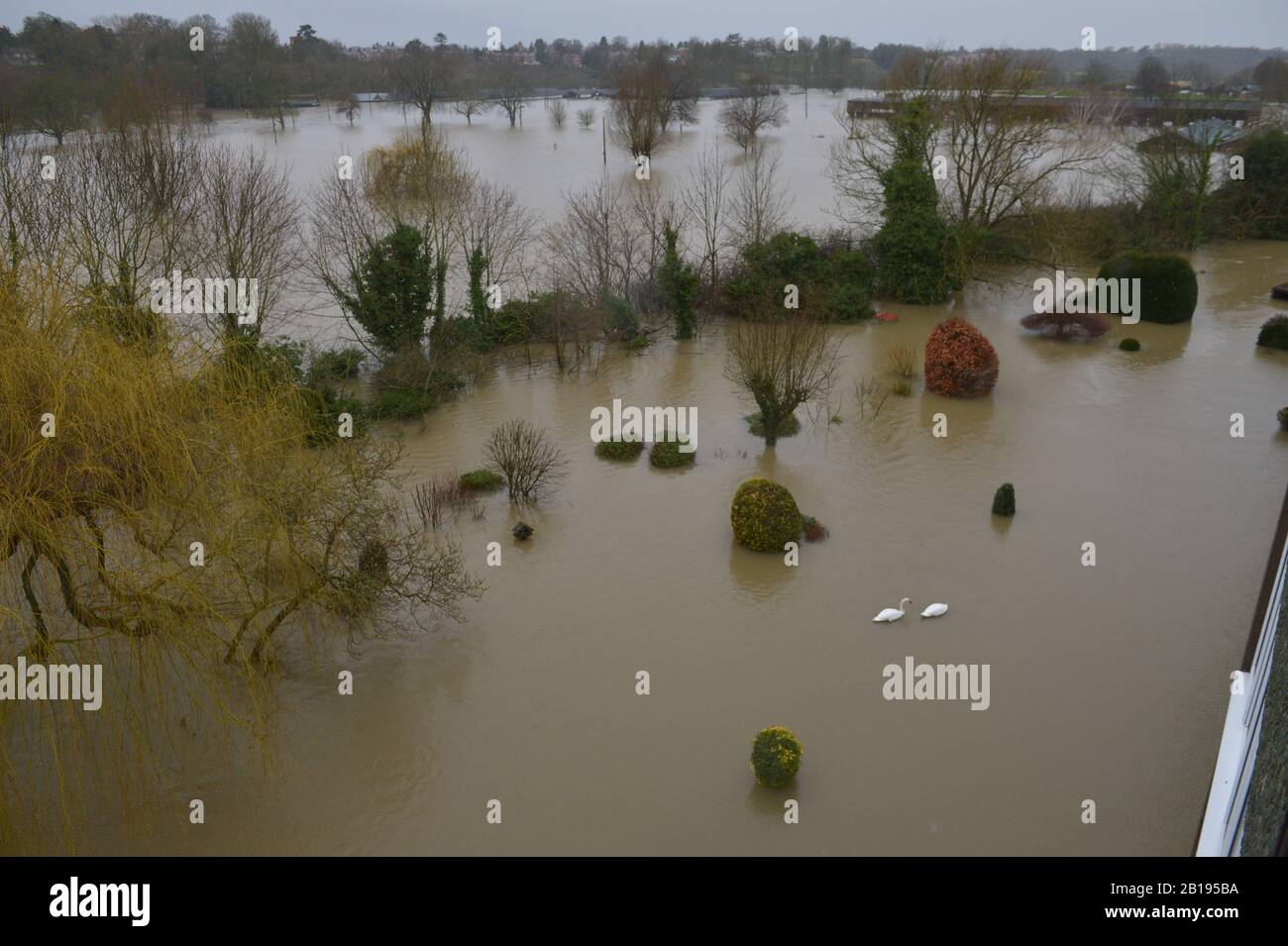 General view of flooded gardens from a flat on the corner of Berwick