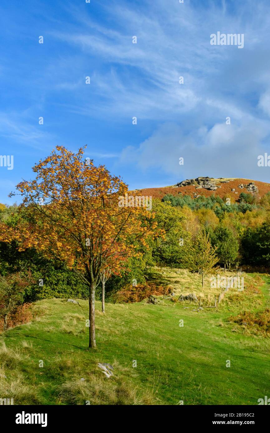 Scenic rural view (autumn colours, steep sunlit fells or moors, summit of high hill & crag, blue sky) - Bolton Abbey, North Yorkshire, England, UK. Stock Photo