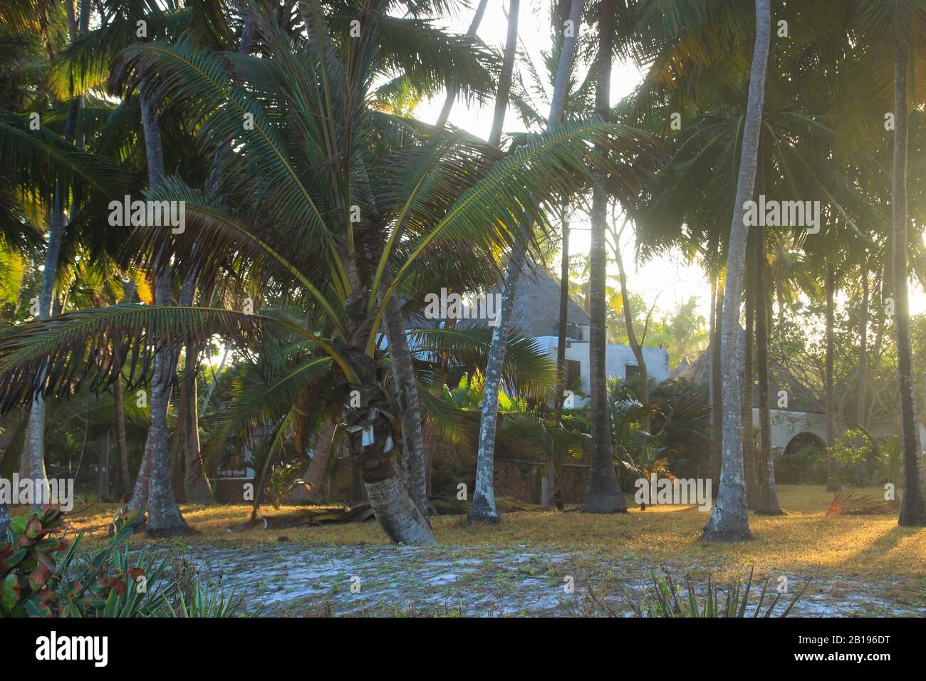Mombasa, Kenya - March 2, 2015: Resort on the shores of the Indian Ocean, Diani Beach, Mombasa, Africa Stock Photo