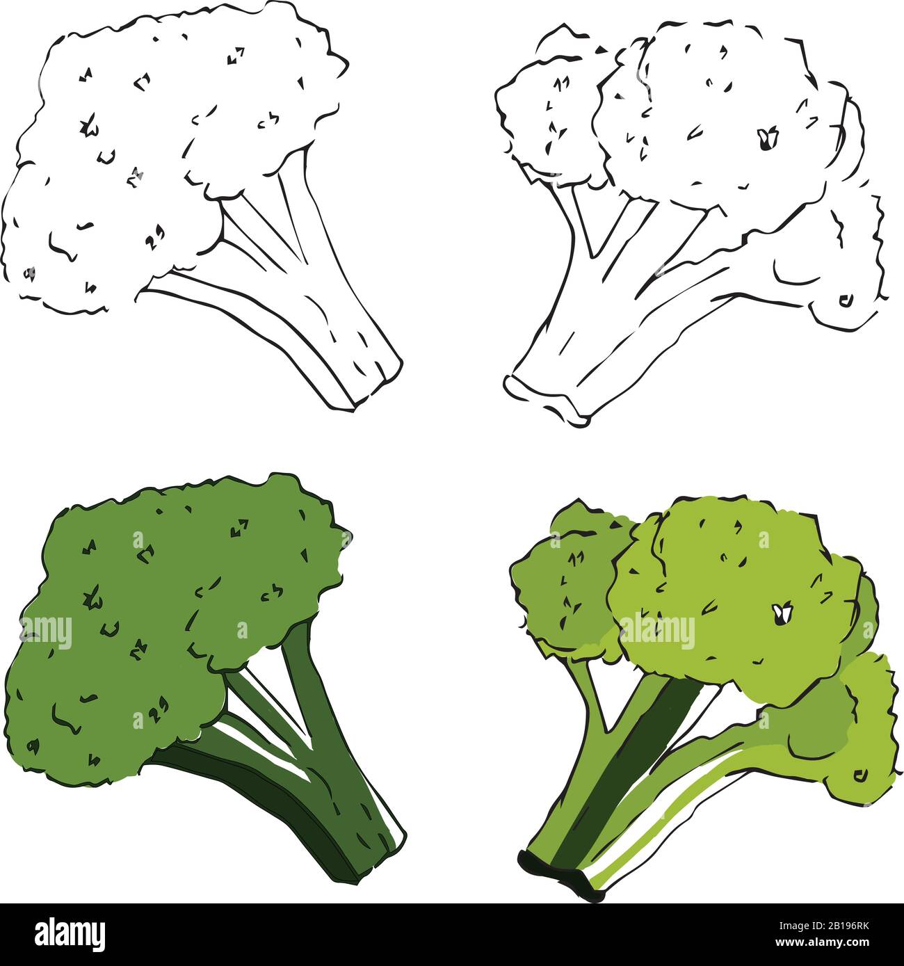 Green Leafy Vegetables Drawings for Sale - Fine Art America