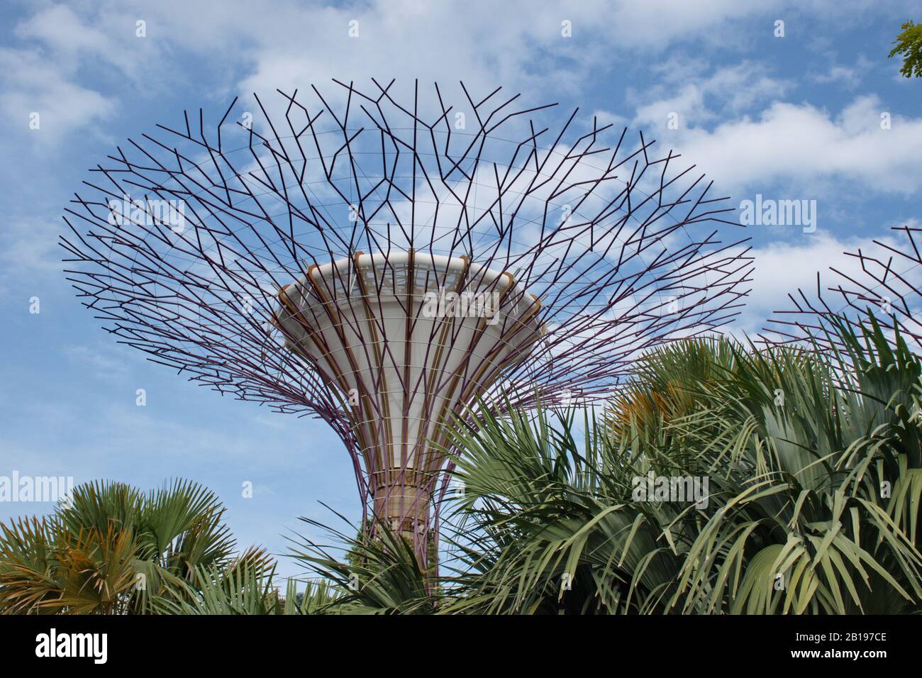 Beauty of Gardens of the Bay - low angle view Stock Photo