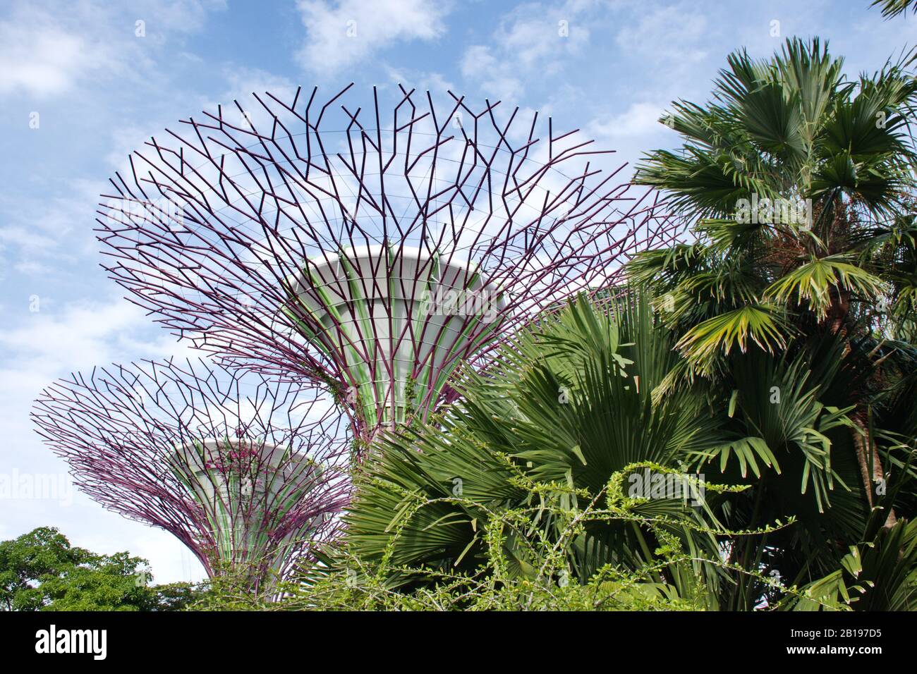 Beauty of Gardens of the Bay - low angle Stock Photo