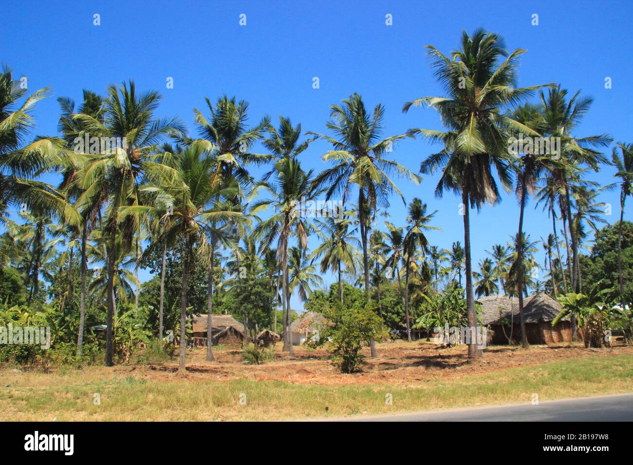Kenya indian ocean malindi view hi-res stock photography and images - Alamy
