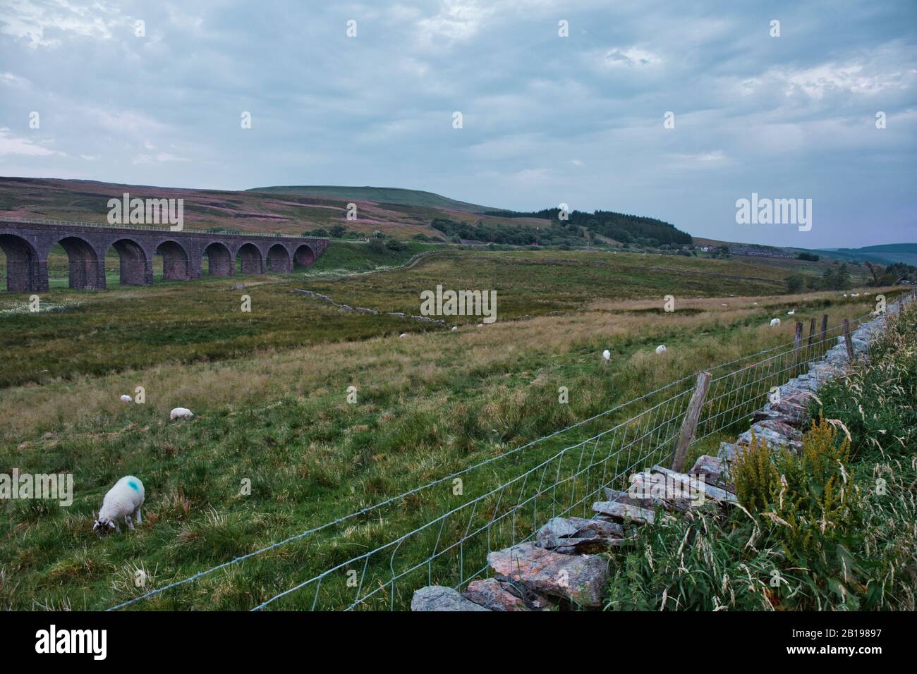 Ribblehead Viaduct which carries the Settle-Carlisle railway line across the Ribble Valley, Ribblehead, North Yorkshire, England Stock Photo
