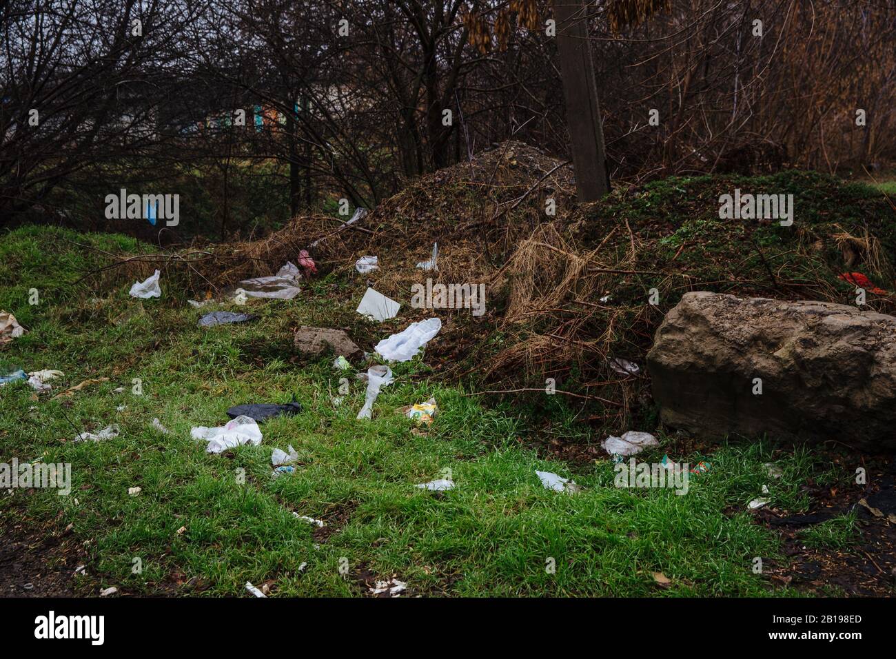 Disposable bags are scattered on the ground. Garbage in the forest. The problem of plastic waste pollution. Stock Photo