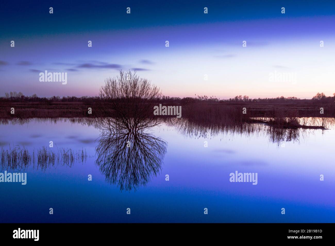 Nature reserve Rottige Meente, Netherlands, Frisia, Rottige Meenten Stock Photo