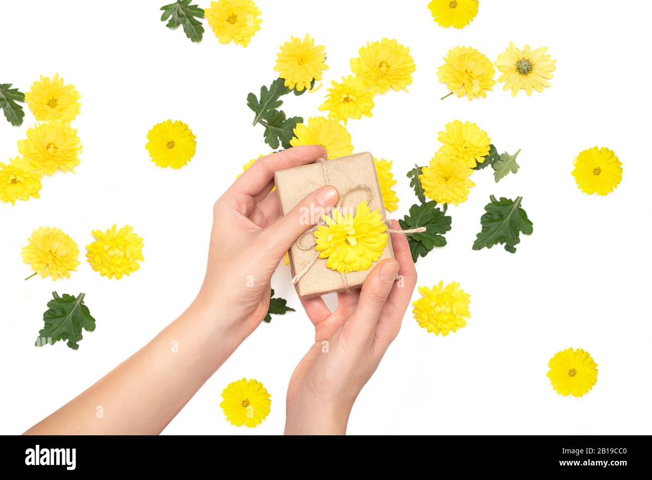 Female hands holding gift box with yellow flower on white background Stock Photo