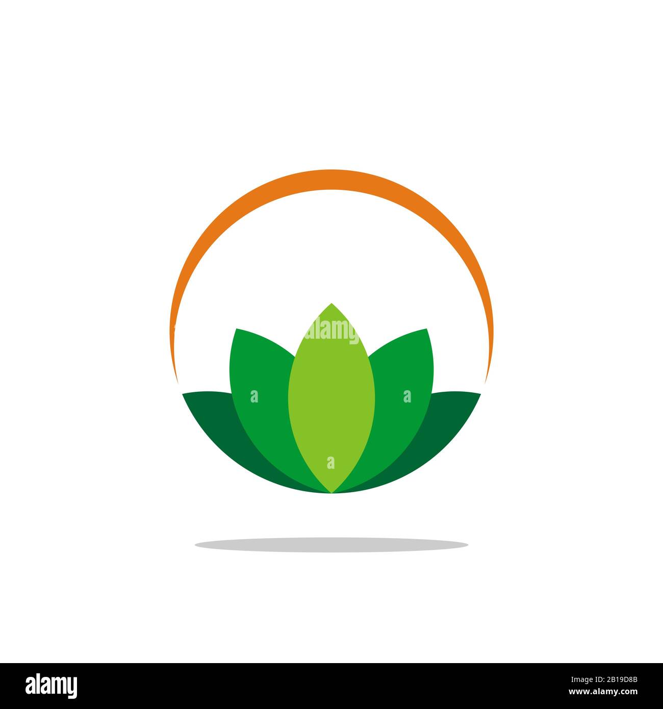 Colorful Ornamental lotus Flower vector template Illustration Design ...