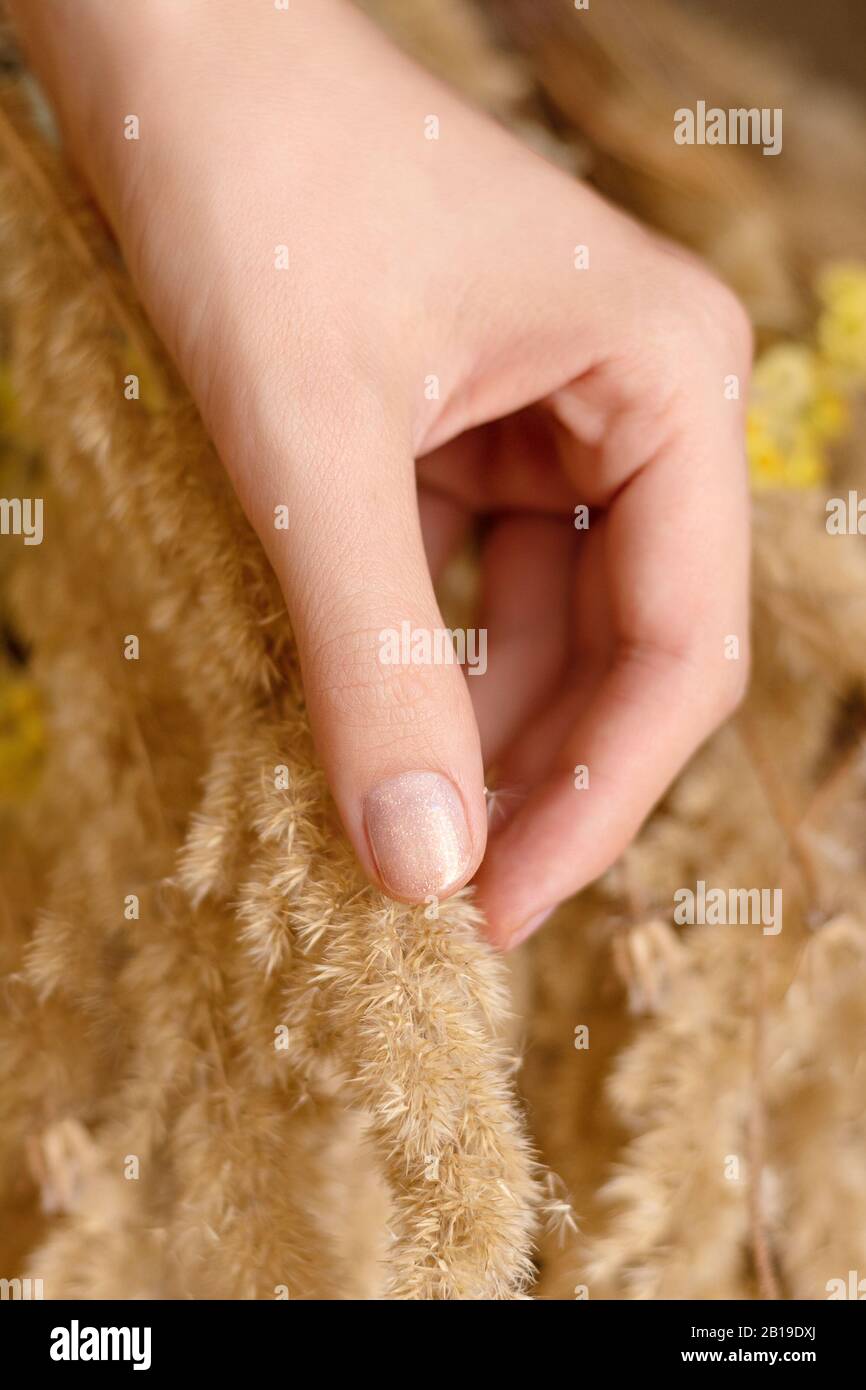 Female hand with nude glitter nail design. Stock Photo