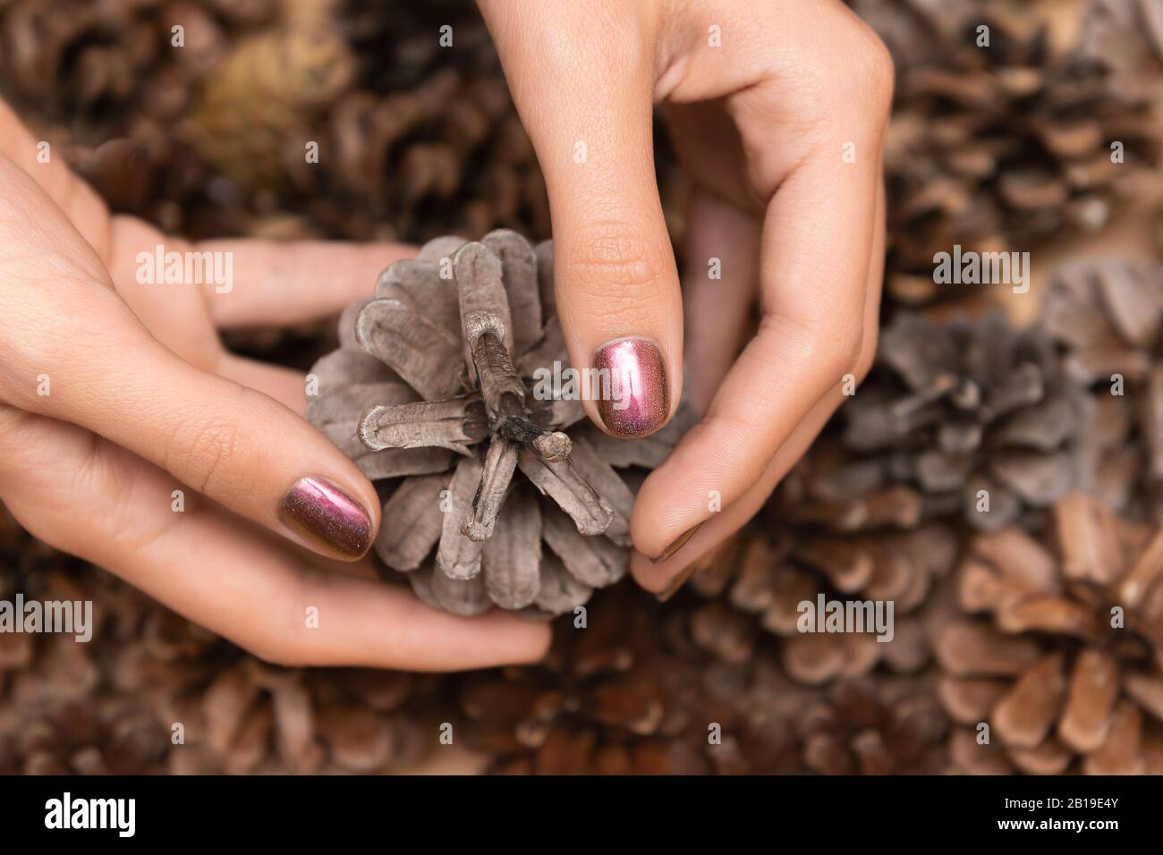 Female hand with brown glitter nail design holding pane cone. Stock Photo