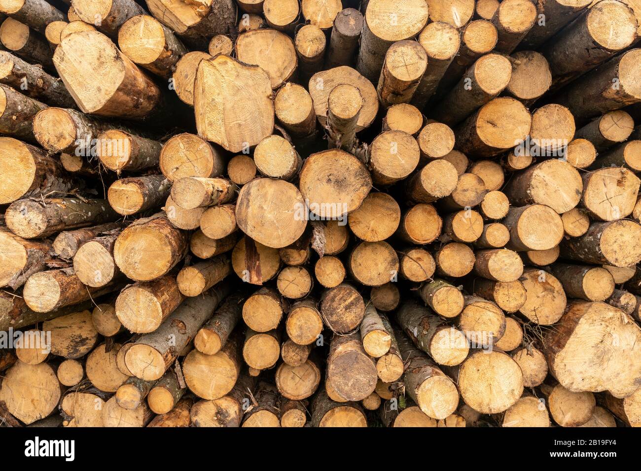 Log stack hi-res stock photography and images - Alamy