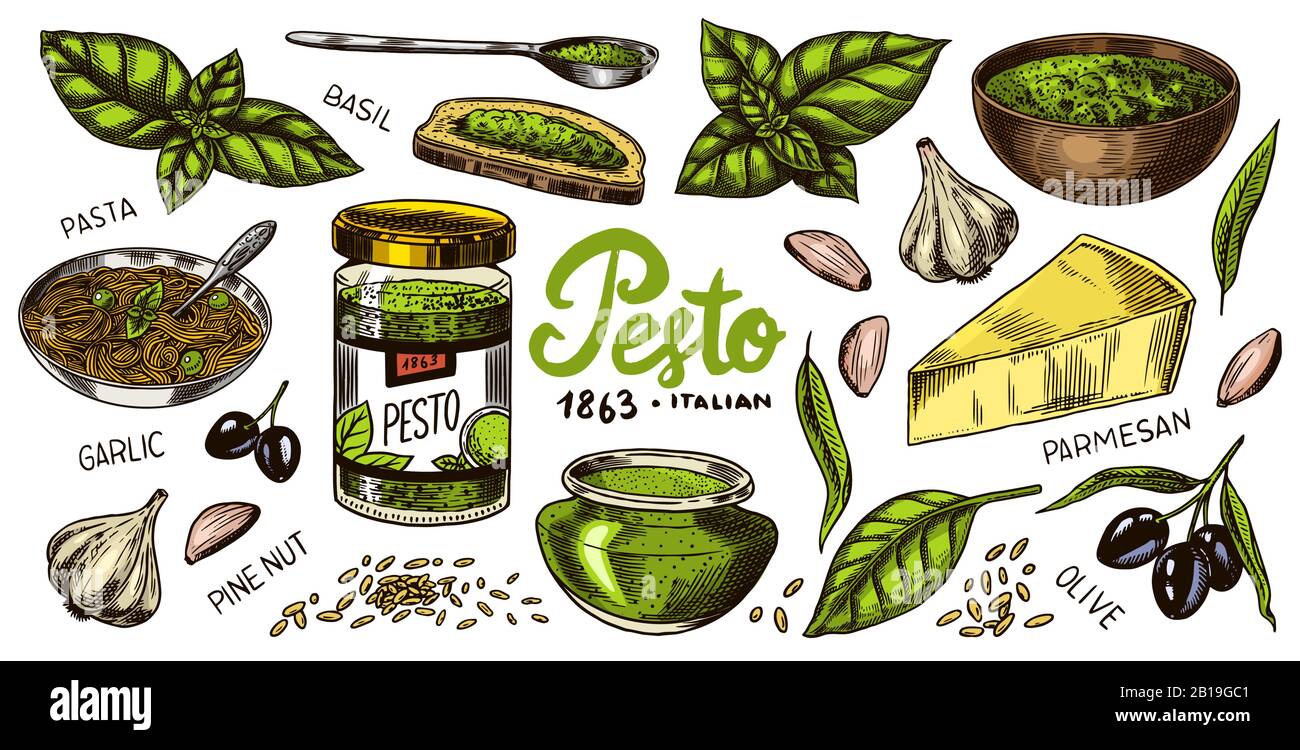 Pesto sauce set. Basil leaves, garlic, pine nuts, hard parmesan cheese, olive oil, pesto alla genovese. Spicy condiment, glass bottle, wooden spoon or Stock Vector