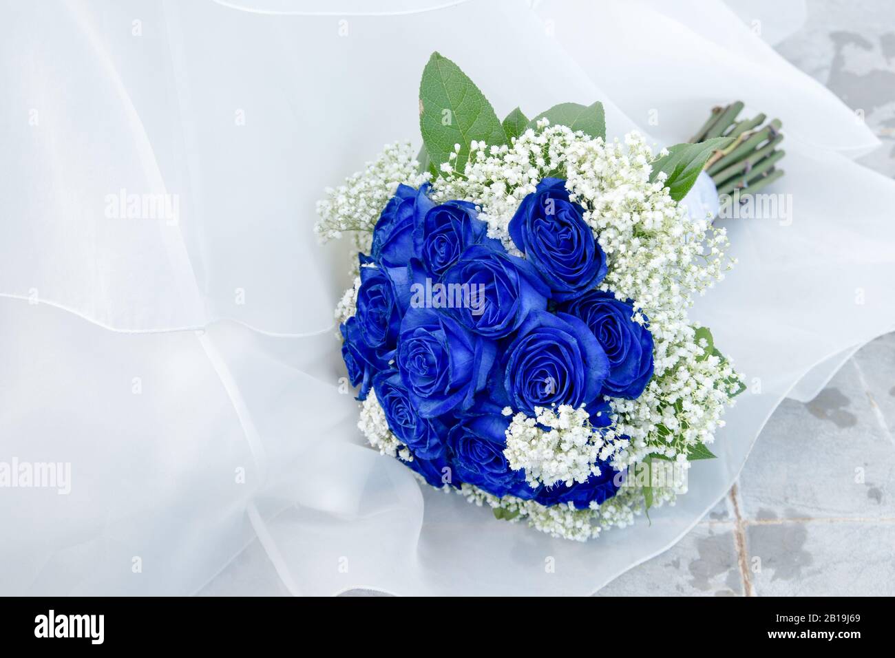 Elegant bouquet of blue roses on white textile background. Stock Photo