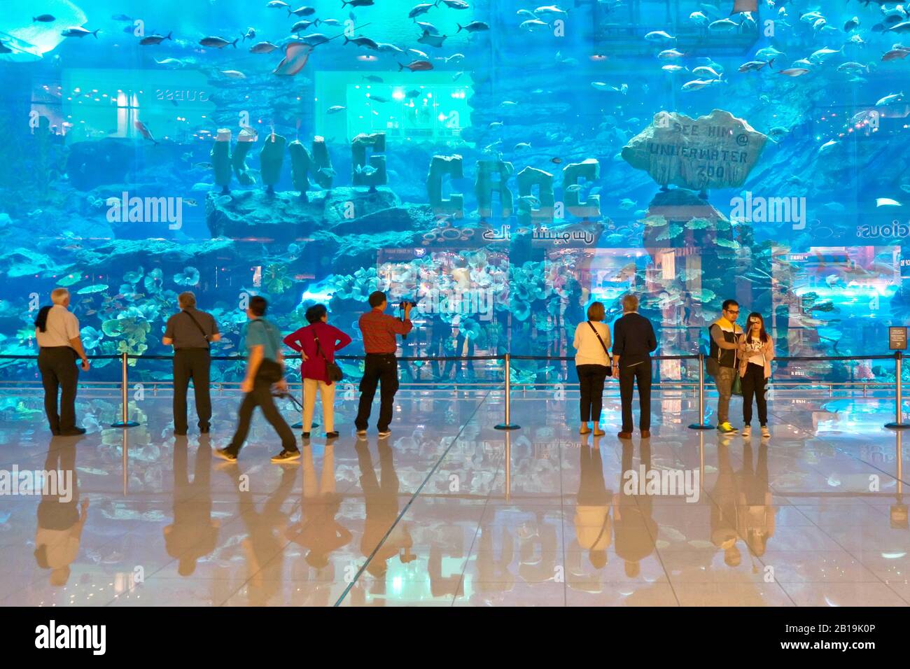 The Dubai Mall Aquarium and underwater Zoo, Dubai, United Arab Emirates