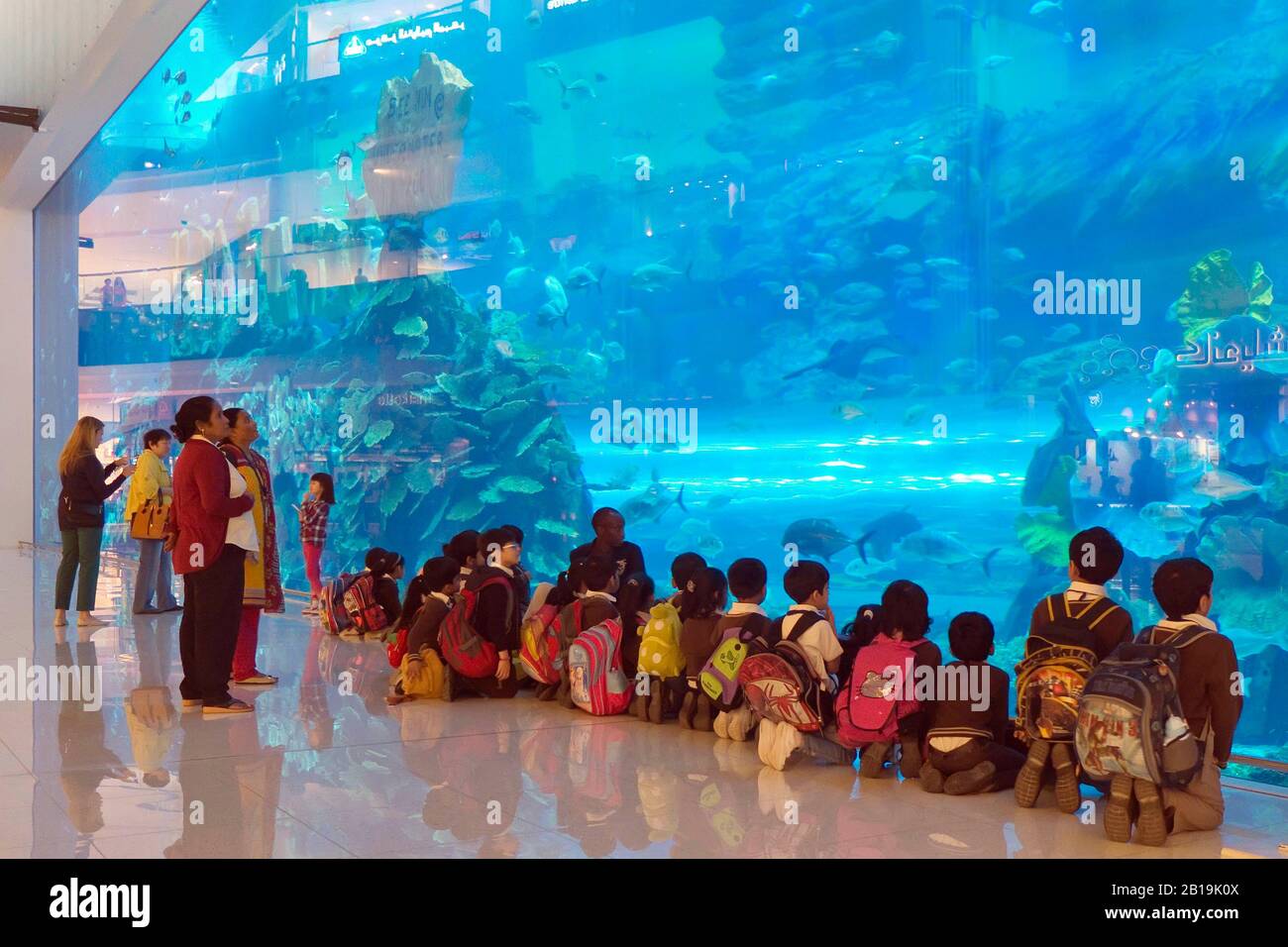 Children Gather At Massive Window Of Dubai Mall Aquarium And