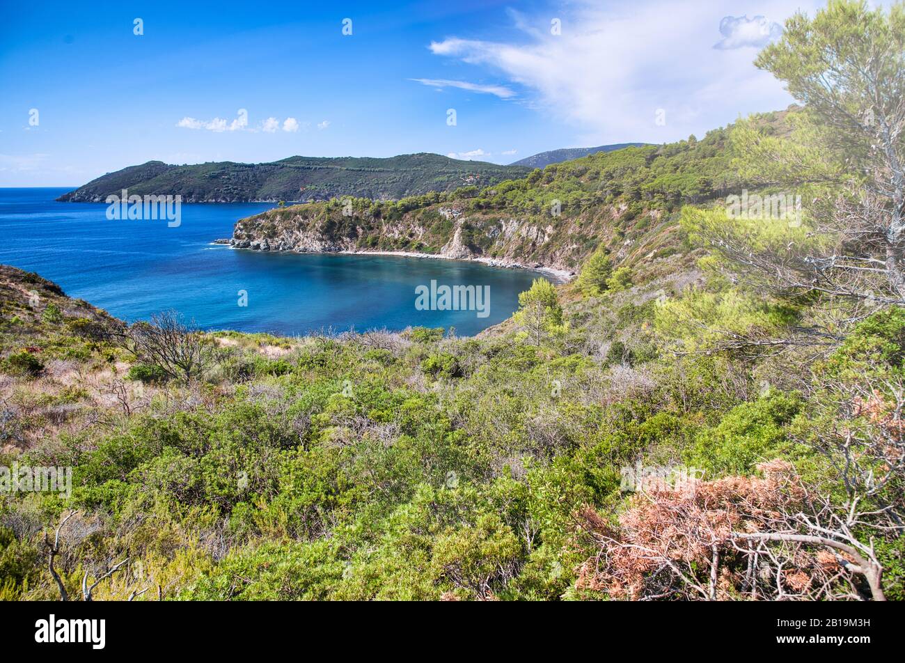 Beautiful coastline of Elba Island, Italy. Stock Photo
