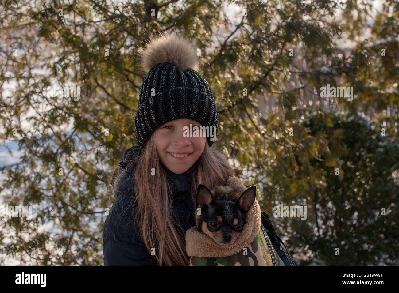 Small chihuahua dog is heated under the 