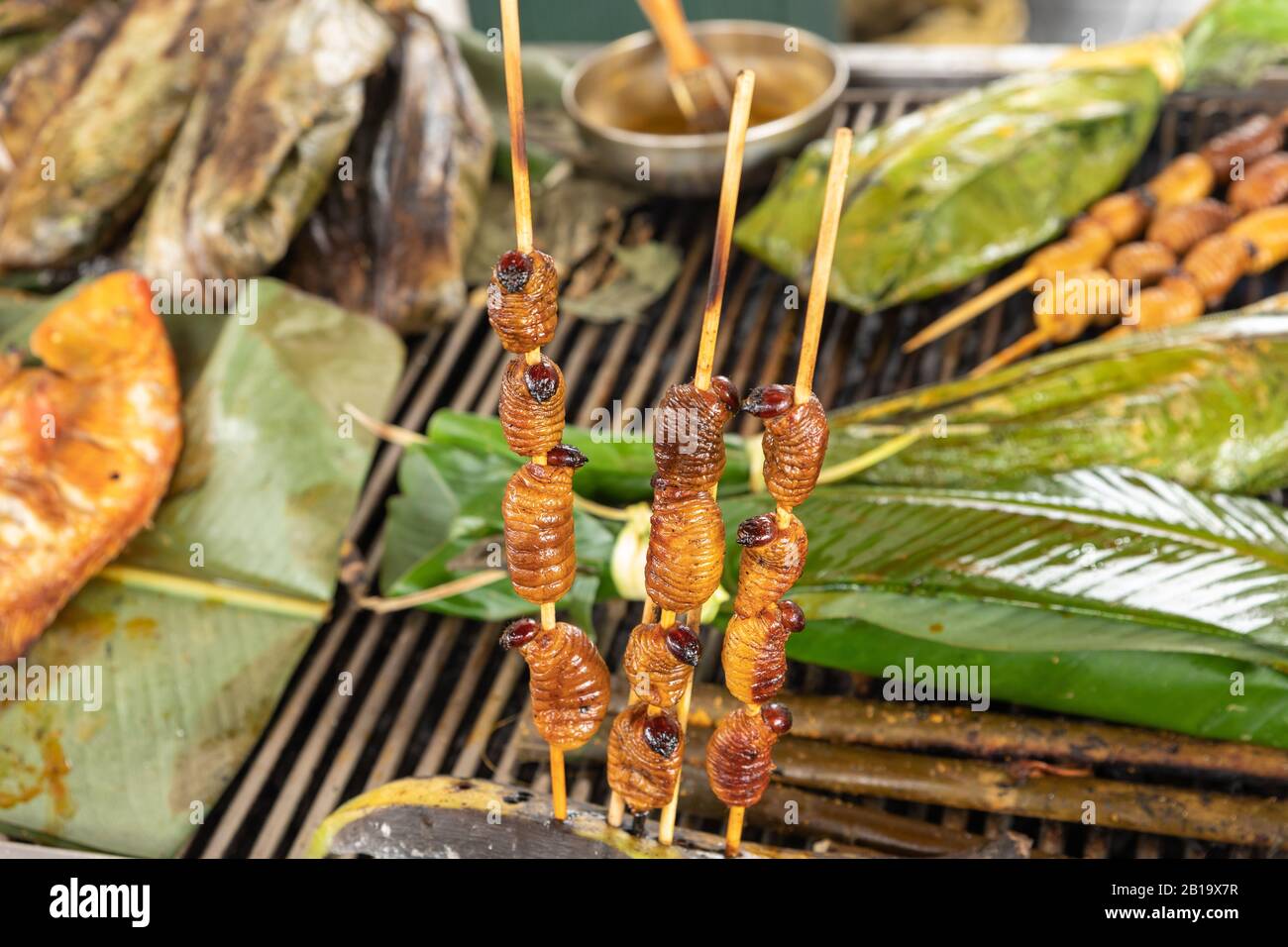 Edible palm weevil larvae (Rhynchophorus phoenicis) at traditional food  market in Puerto Francisco de Orellana. Ecuador. Amazon Stock Photo - Alamy