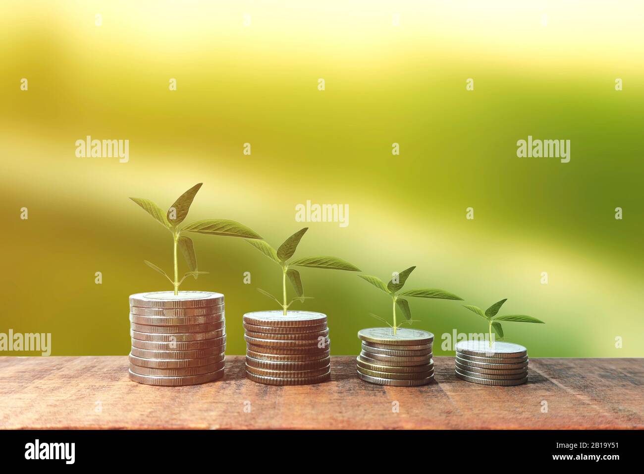 Money Growing Concept Trees Growing On Pile Of Coins Money Interest Increasing Concept Stock