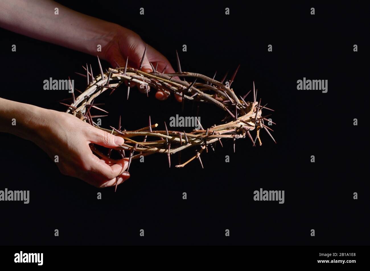 Hands and Crown Of Thorns On A Black Wooden Background Stock Photo