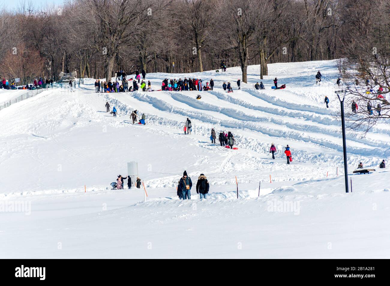 Snow mountain slide at Beaver Lake Mount Royal Park, Montreal, Quebec, Canada (Lac des Castors