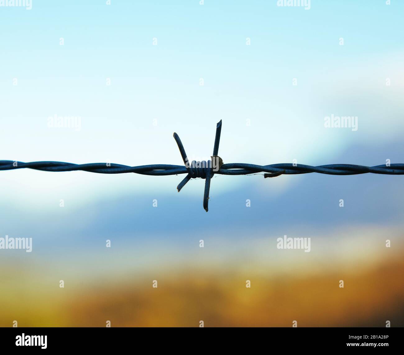 a single barb wire knot with a blue sky in the background Stock Photo