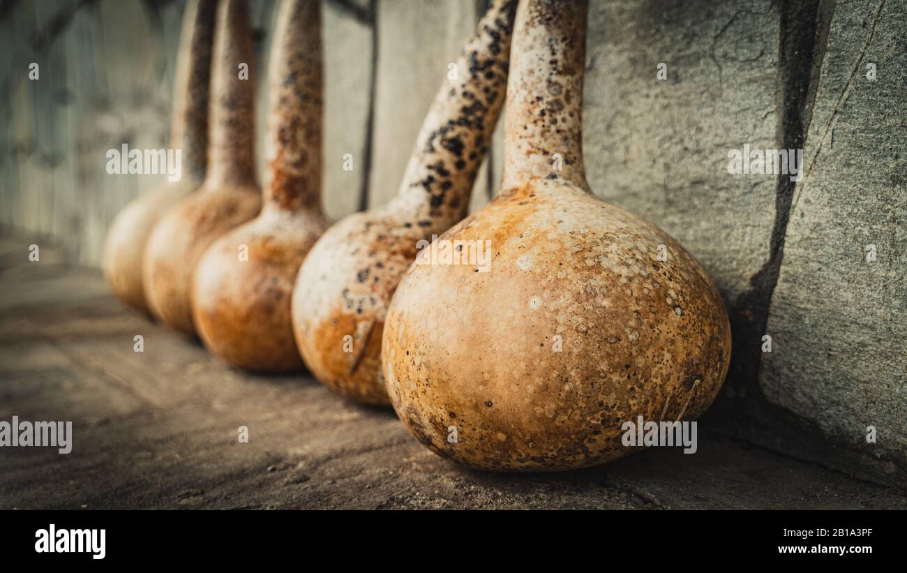 Dried gourd maracas hires stock photography and images Alamy
