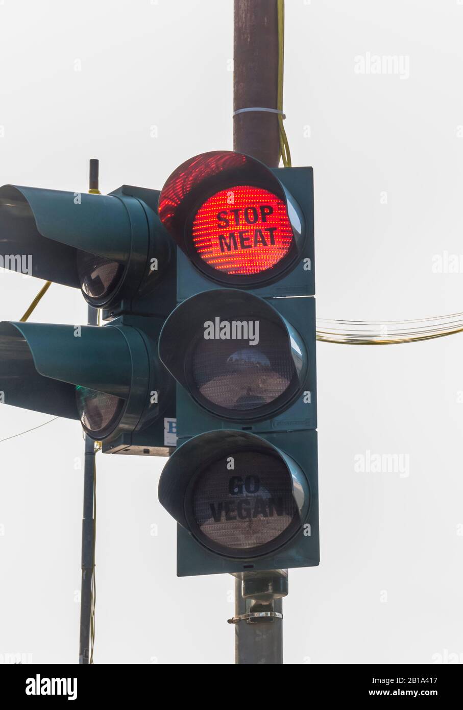 'stop meat', text on transparent film attached to red traffic light Stock Photo