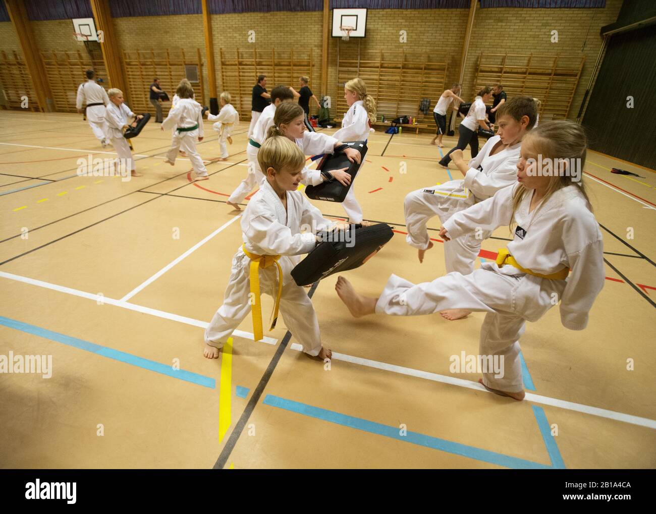 Young people practicing taekwondo. Taekwondo, Tae Kwon Do or Taekwon-Do is a Korean martial art, characterized by its emphasis on head-height kicks, jumping and spinning kicks, and fast kicking techniques.Photo Jeppe Gustafsson Stock Photo