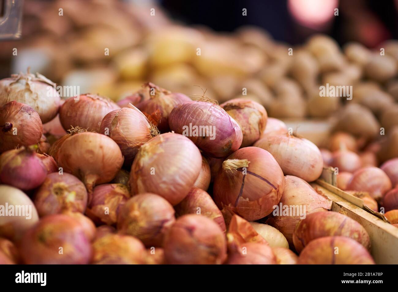 Pile of onions in Spanish market hall Stock Photo Alamy