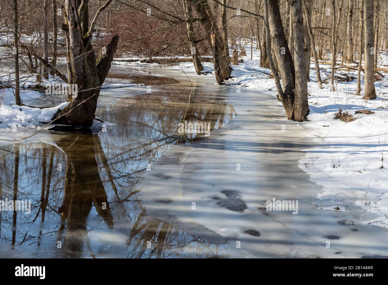 Cass City, Michigan The Cass River in Sanilac Petroglyphs Historic