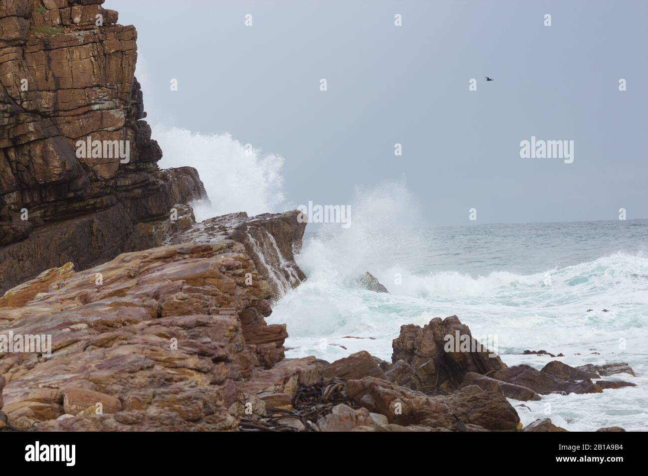 Cape of Good Hope, Western Cape, Cape Town, South Africa Stock Photo