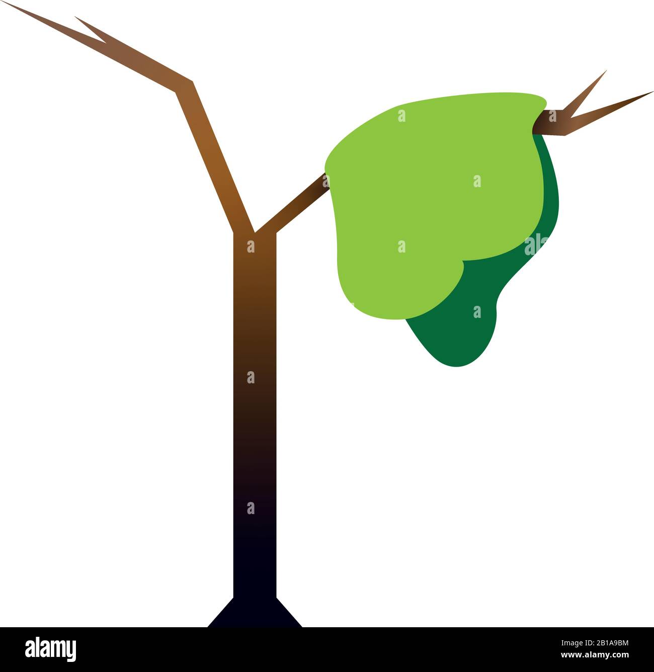 Isolated tree icon Stock Vector Image & Art - Alamy
