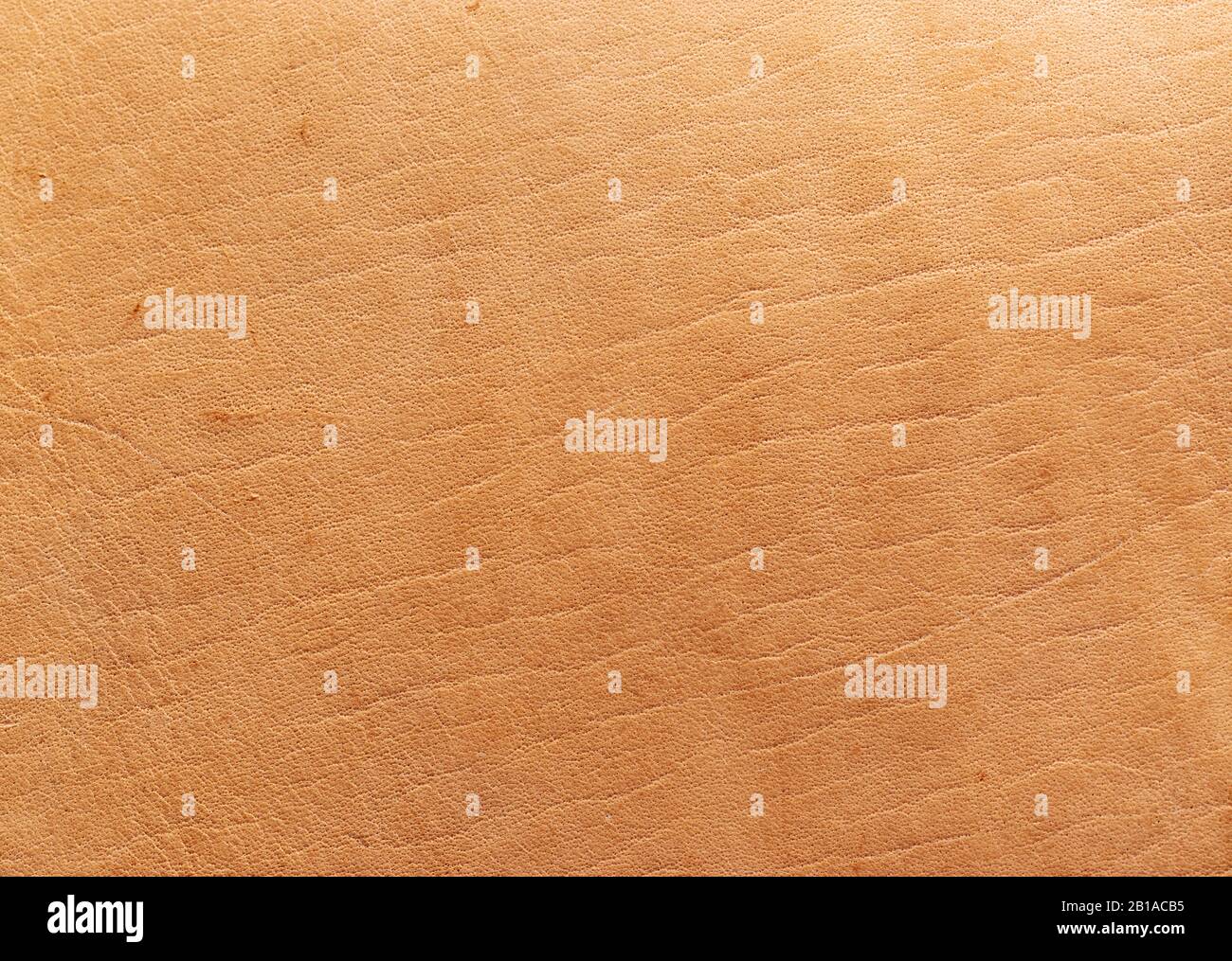 Leather marks hires stock photography and images Alamy