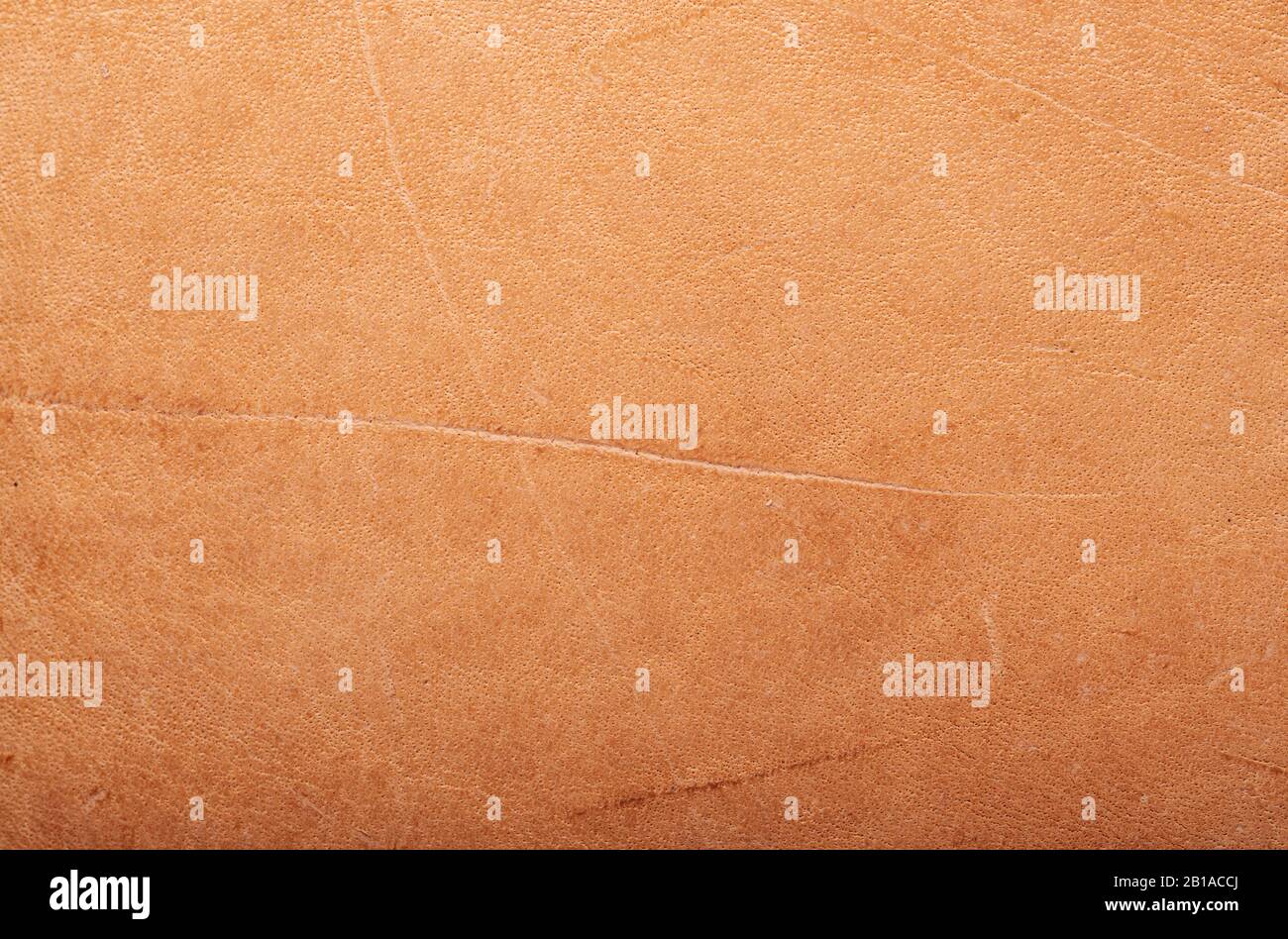 Natural vegetable tanned leather closeup macro full frame texture showing top grain and scratch wear marks Stock Photo