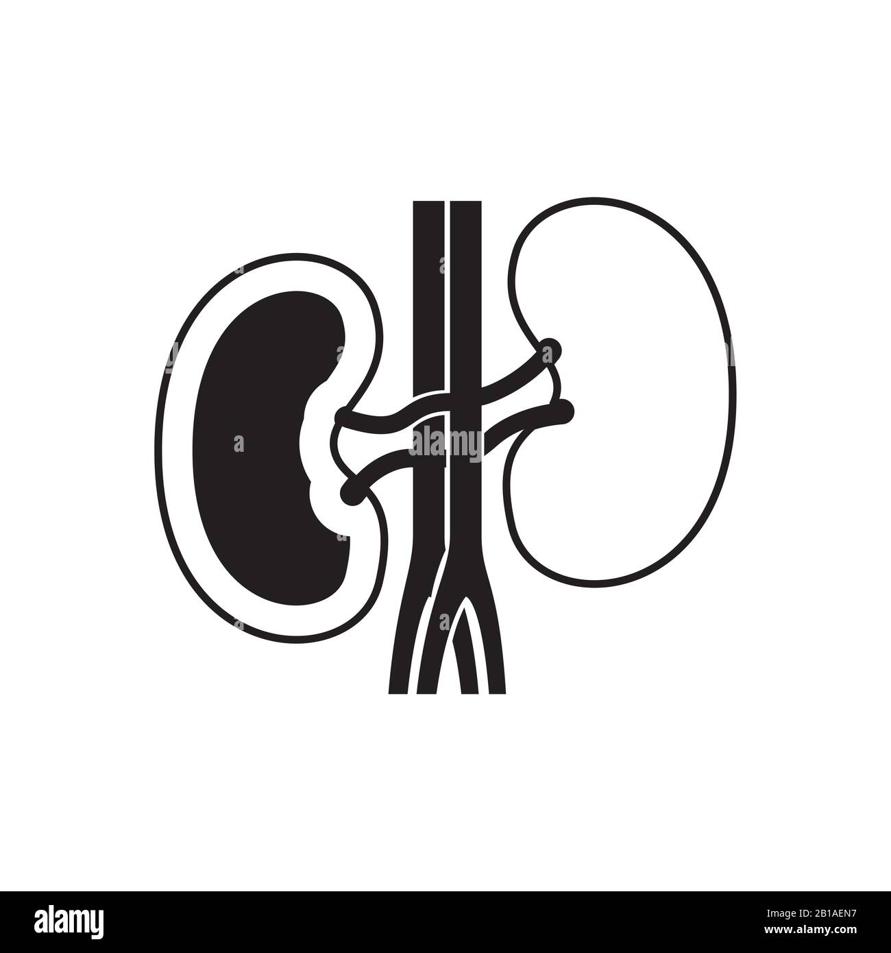 Kidneys Black and White Stock Photos & Images - Alamy