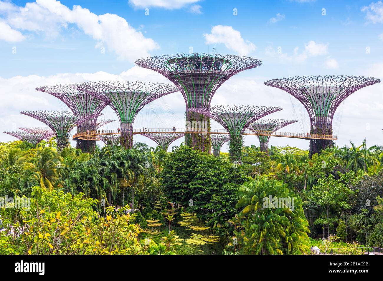 View of the towering vertical gardens and supertrees in Gardens by the