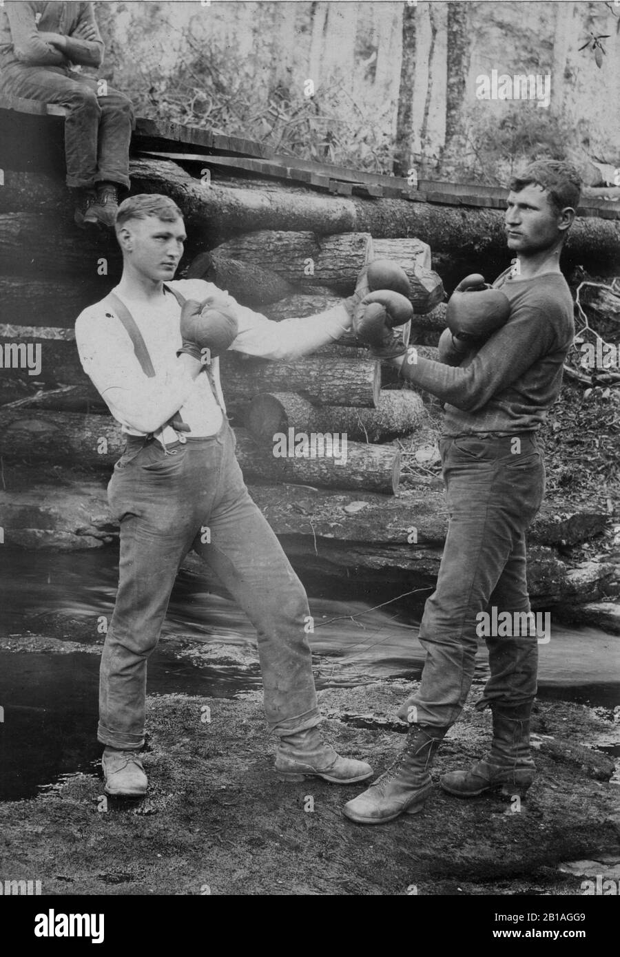 Two young men posing, wearing boxing gloves, outside of their dugout log cabin in the woods. Probably c.1890s.  Another man sits on the cabin's roof, watching. Unknown people and location.  To see my related vintage images, Search:  Prestor  vintage  sport Stock Photo