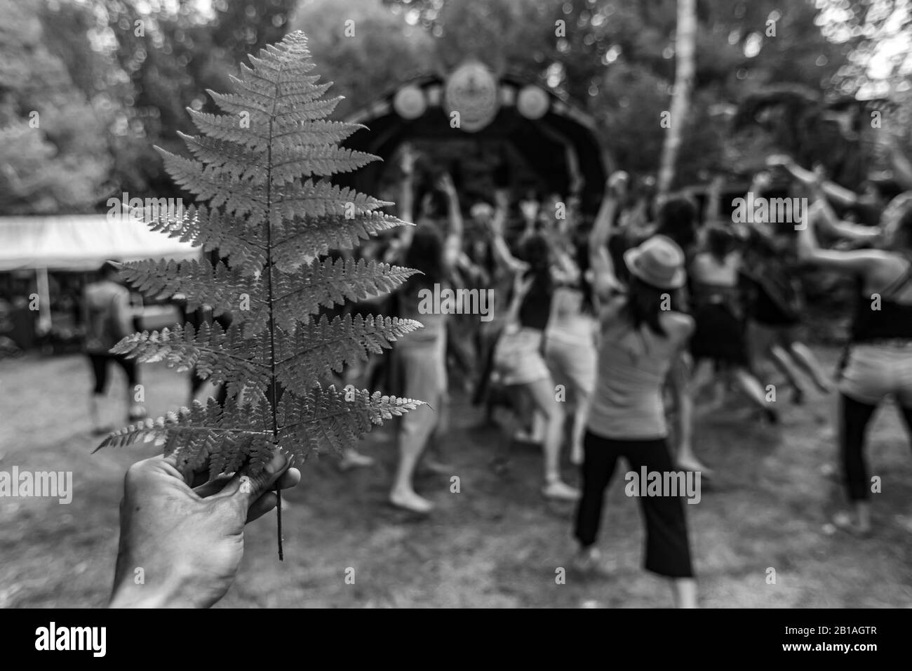 Creative black and white shot in shallow focus, closeup of hand holding foliage from forest as people thank earth and celebrate alternative cultures Stock Photo