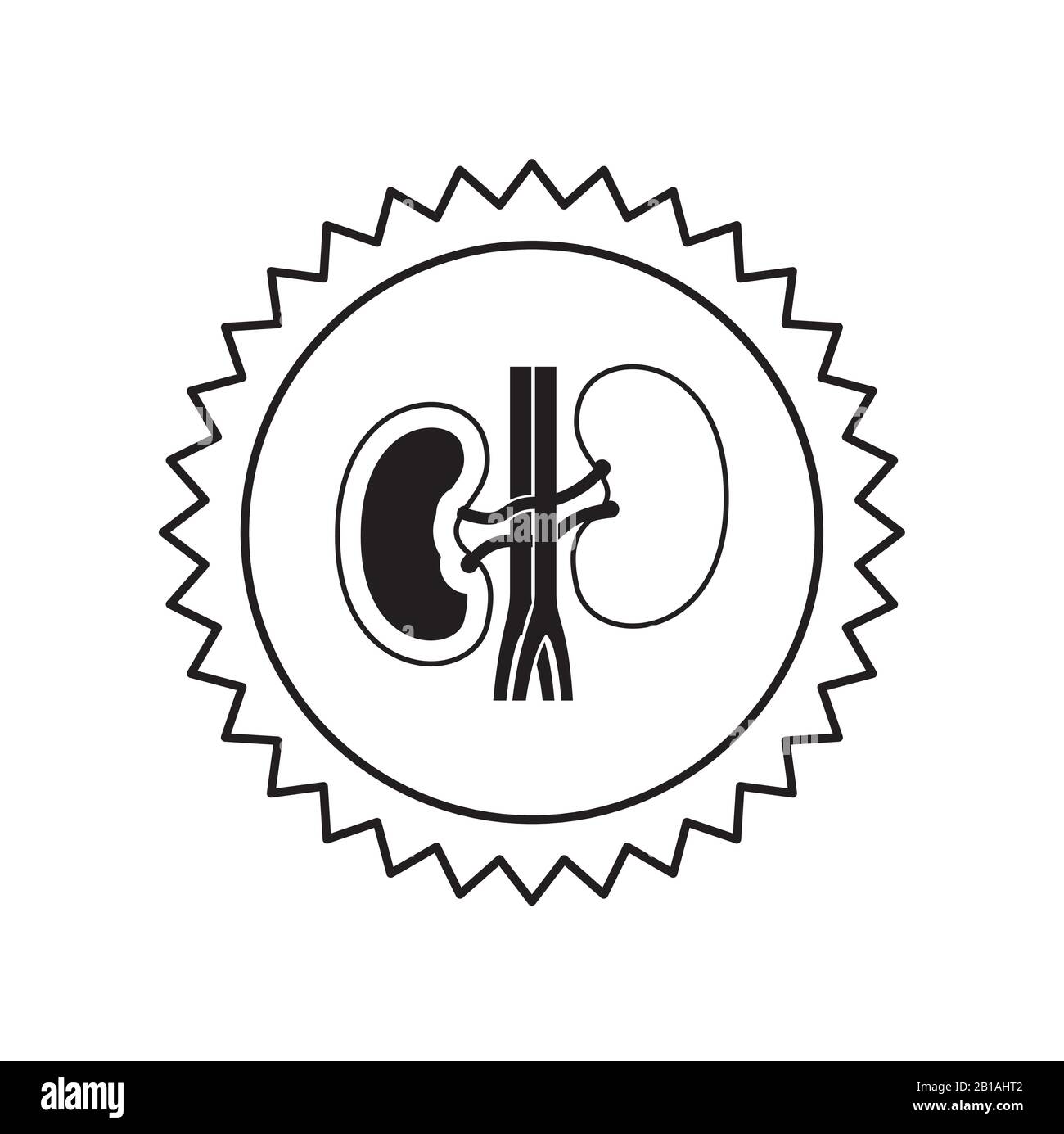 Kidneys Black and White Stock Photos & Images - Alamy