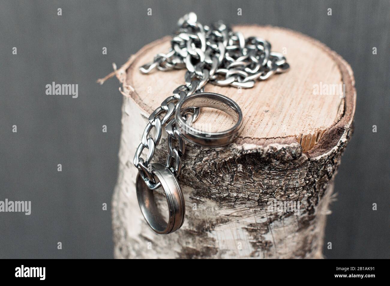 Rings on tree with chain for wedding two rings Stock Photo