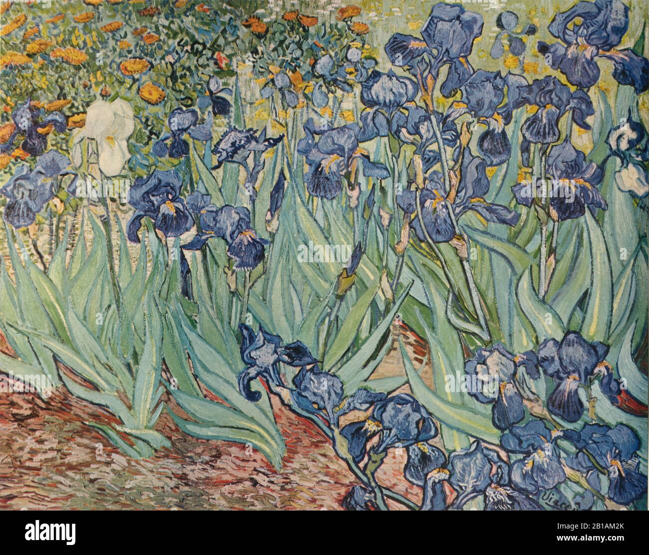 Irises 1889 painting by Vincent van Gogh - Very high resolution and quality image Stock Photo