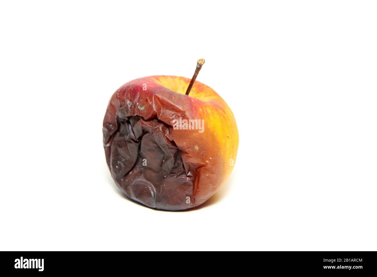 One rotten and uneatable apple. Isolated on a white background. Stock Photo