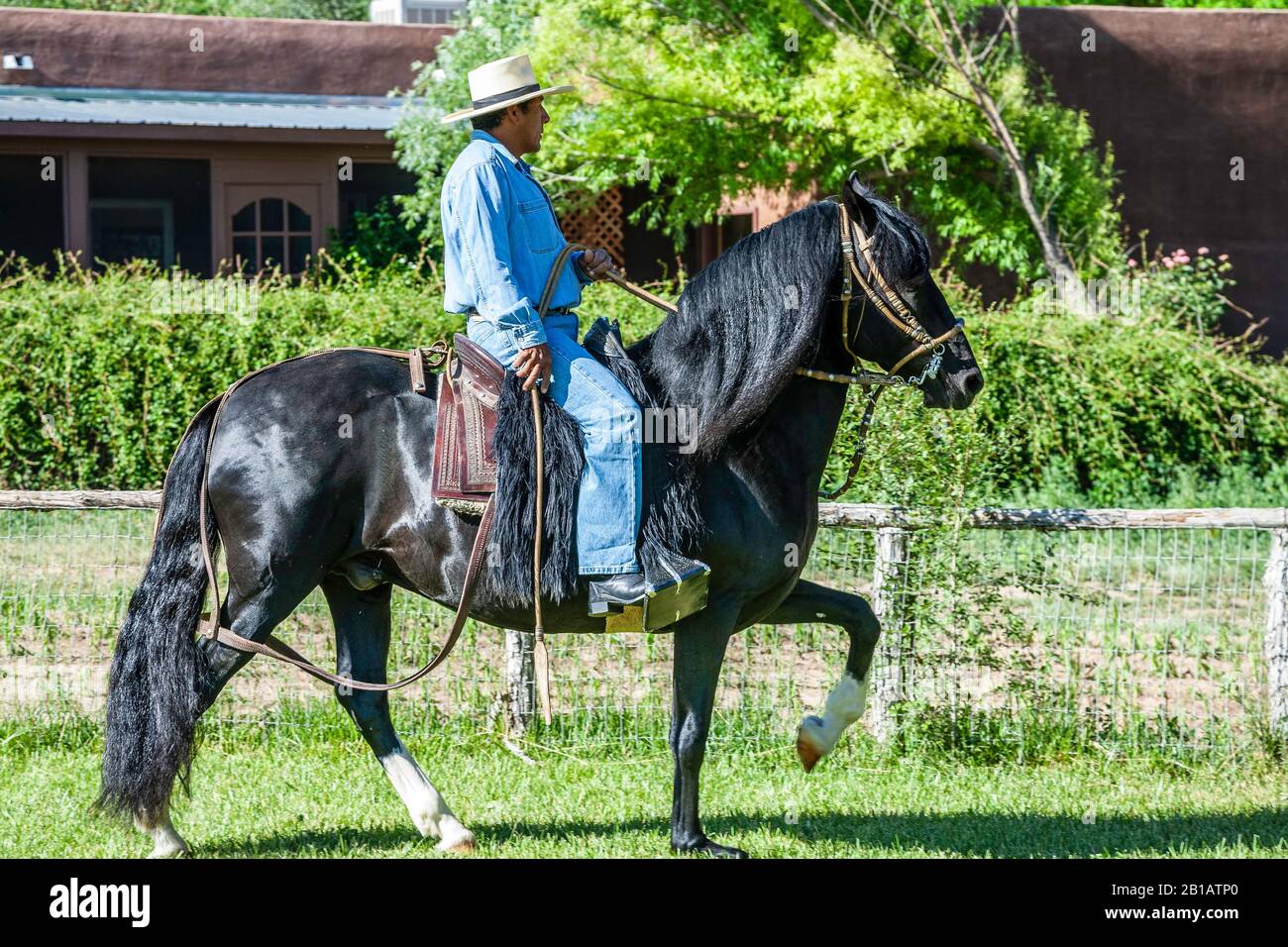 Trainer Roberto Quijandria riding LEA Conquistador, Peruvian 'paso' horse, doing the 'paso llano' (slow gait), Estancia Alegre, Alcalde, New Mexico US Stock Photo